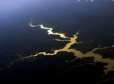 Brasil é o primeiro do mundo em potencial de descoberta de espécies