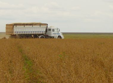 Exportações crescem 28% na Bahia em maio; mercado asiático é principal parceiro