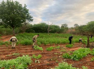 Polícia Civil prende 380 pessoas na Bahia no âmbito da Operação 'Narco Brasil'
