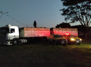 Carga com 36,5 t de maconha é localizada em maior apreensão de drogas da história