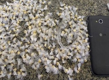 Líder do tráfico na Roça da Sabina é preso na Barra após ação da Rondesp