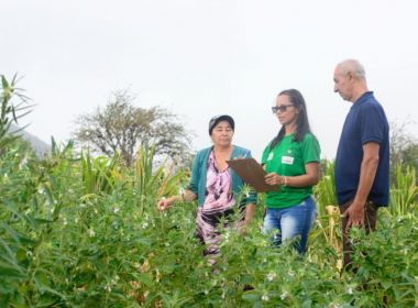 Cautelar do TCE suspende contratos da SDR com consórcios intermunicipais