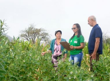 Cautelar do TCE suspende contratos da SDR com consórcios intermunicipais 