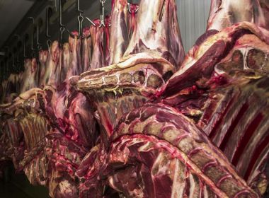 China libera entrada de carne certificada antes do embargo