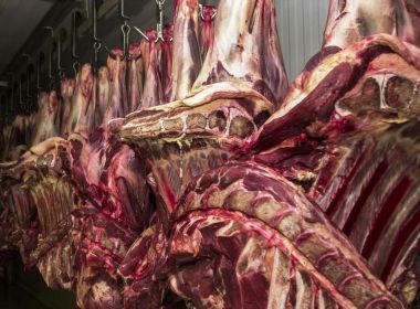 Ministério da Agricultura anuncia queda do embargo chinês à carne brasileira