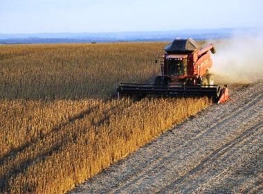 Bahia exportou US$9,9 bilhões em 2021; China foi principal país de destino