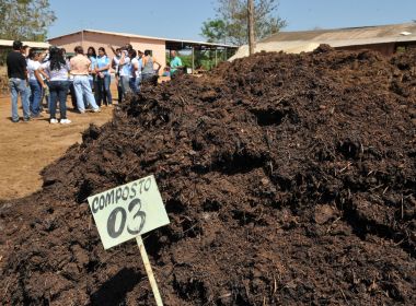 Pesquisa revela benefícios de adubos feitos a partir do lodo de esgoto