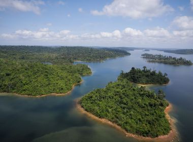 Facebook associa militares a perfis de desinformação sobre a Amazônia