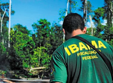 Ibama: Bahia tem mais de R$ 40 mi em multas ambientais prescritas em infrações desde 2000