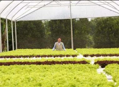 Roma aponta necessidade de reduzir impostos para alavancar produtividade na Bahia