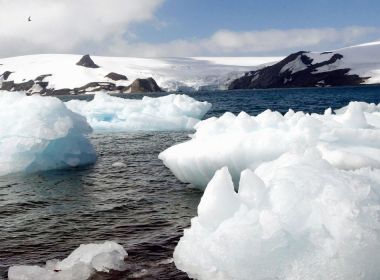 'Golpe da cidadania' faz 700 vítimas ao criar falso país na Antártica