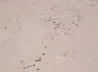 Manchas de óleo voltam a aparecer em praias de Salvador