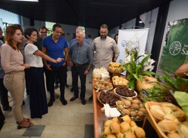 Salvador recebe selo de mitigação de mudanças climáticas via alimentação