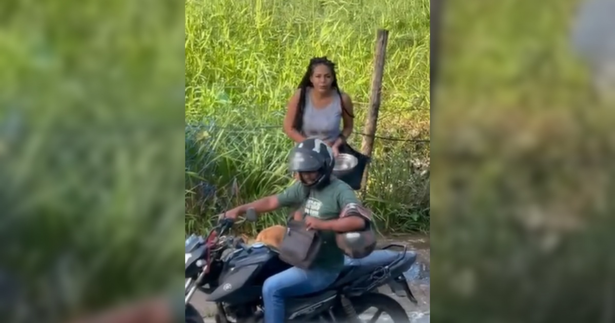 VÍDEO: Casal é flagrado tentando abandonar cachorro próximo ao Hospital Veterinário de Salvador