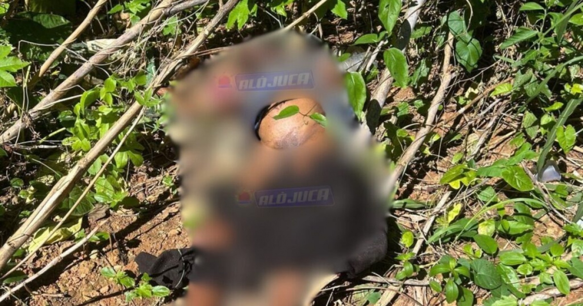 Mulher é encontrada morta com sinais de enforcamento em área de mata na Vila Laura