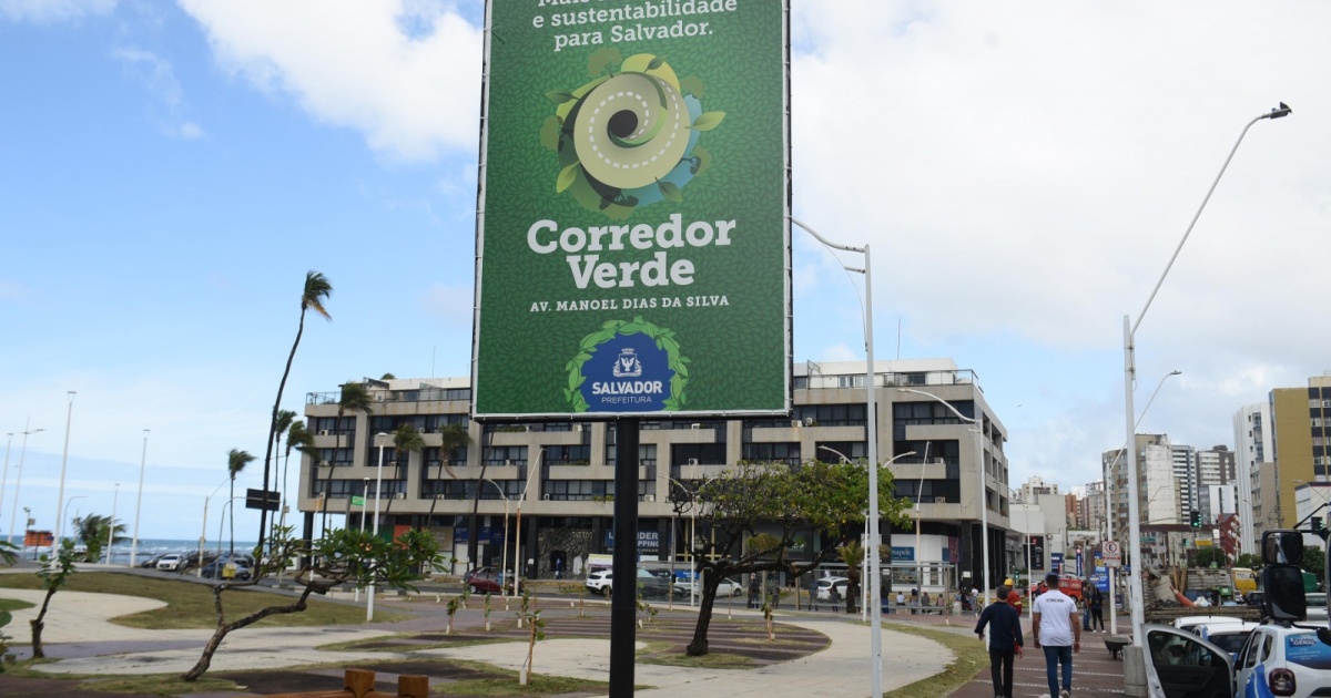 Prefeitura inicia novo programa de arborização em Salvador com plantio de 115 árvores na Av. Manoel Dias