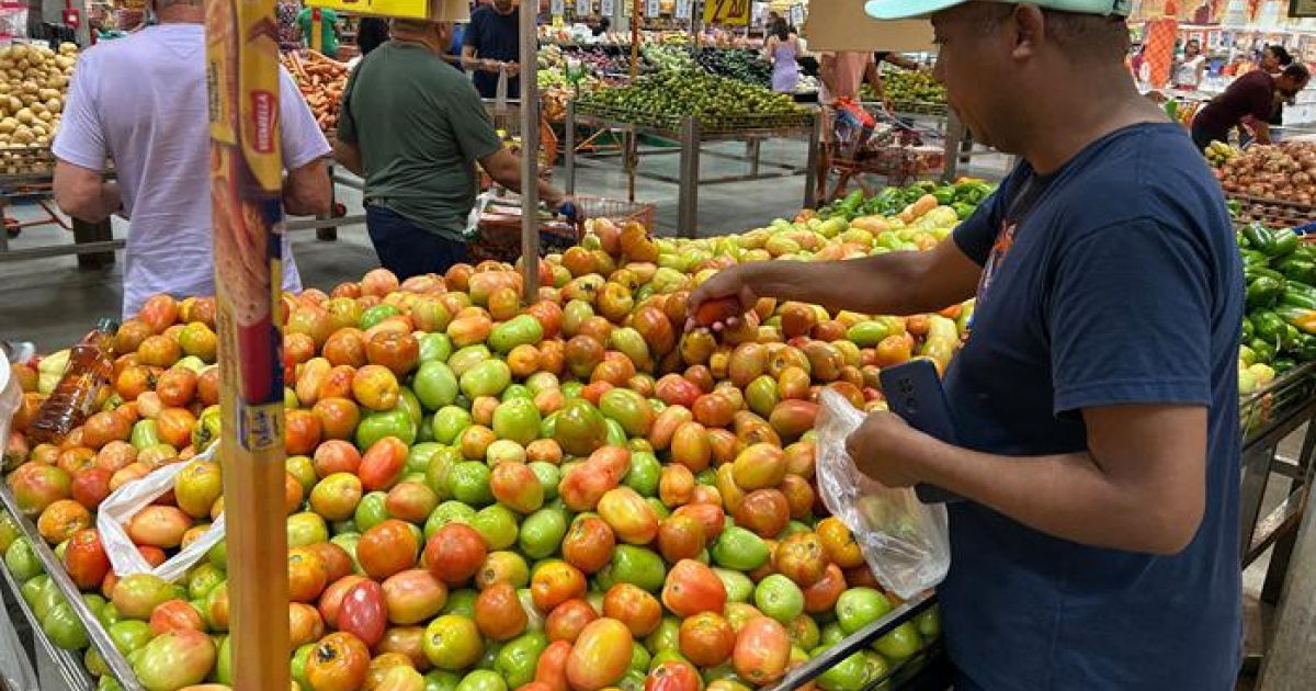 Cesta Básica de Salvador apresenta redução de 3,20% em agosto de 2025