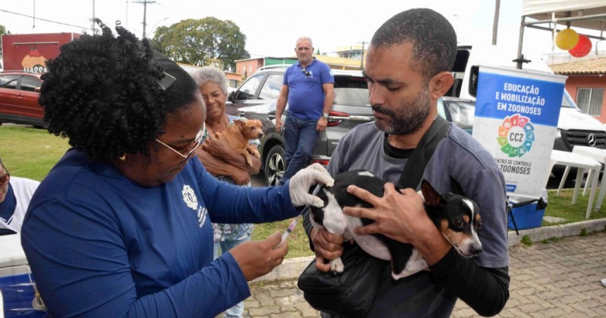 Salvador Imuniza Mais de 310 Mil Animais Contra a Raiva: Veja os Detalhes!