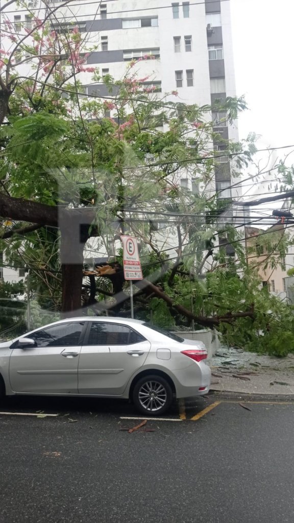 dia%20da%20dia%20(6)