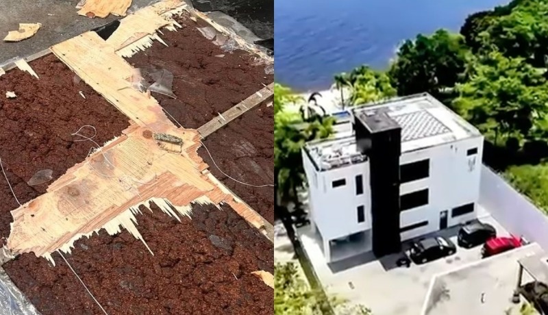 Cocaína negra: Polícia acha 56 kg de droga em mansão ligada a empresária da Arezzo em Manaus