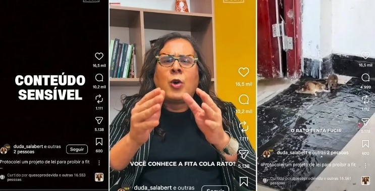 Deputada do Psol quer proibir armadilha de rato e Véio da Havan pergunta: 