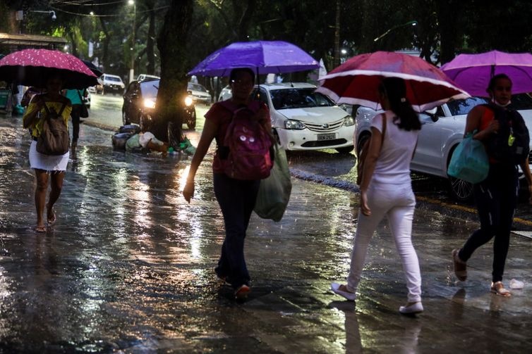 Belém decreta estado de emergência após chuvas intensas