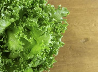 Alface contaminada causa morte nos EUA; foram registrados 149 casos em 29 estados