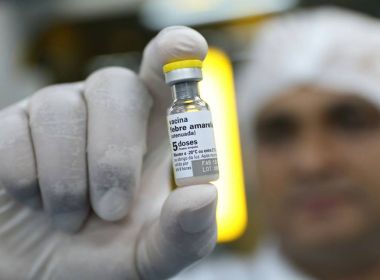 Brasil confirma 920 casos e 300 mortes por febre amarela