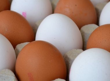 Ovo é rico em vitaminas e previne doenças cardiovasculares