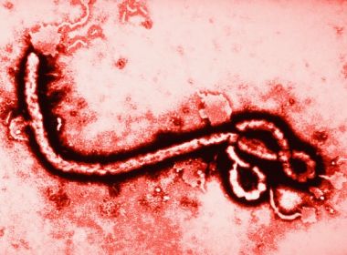 OMS anuncia fim do surto de ebola na República Democrática do Congo