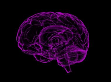 Exame de sangue criado nos EUA detecta Alzheimer com 20 anos de antecedência