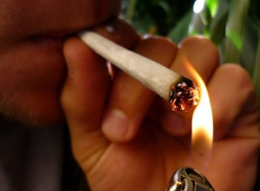 Estudo indica que 7,7% dos brasileiros usaram maconha pelo menos uma vez