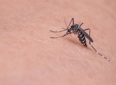 Autoridades espanholas confirmam 1º caso de dengue com transmissão sexual