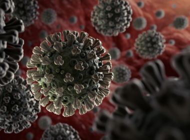  Método usado contra ebola pode ser útil para vacina da Covid-19