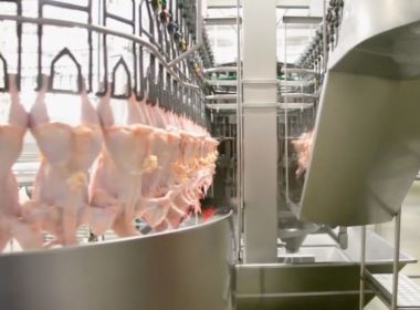 Infectologistas consideram 'pouco provável' contaminação em pacote de frango 
