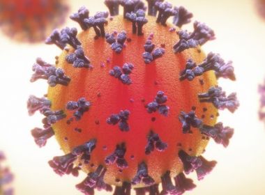 Estudo pode originar teste capaz de prever se paciente com Covid-10 precisará ser internado