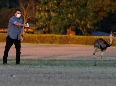 Agência europeia emite alerta sobre relação da cloroquina com distúrbio mental