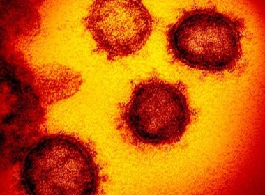 Reino Unido identifica nova variação do coronavírus que se multiplica mais rapidamente