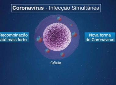 Contágio por dois tipos de coronavírus pode criar um terceiro, dizem pesquisadores