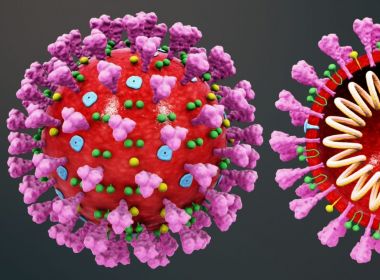 Covid-19: Infectados com variante de Manaus têm 10 vezes mais vírus no corpo, diz Fiocuz