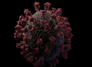 Variante delta do coronavírus é 40% mais contagiosa, diz ministro da Saúde britânico