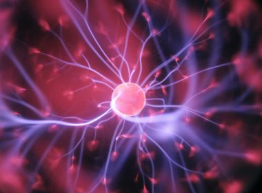 Pesquisadores definem área específica do cérebro que corresponde ao clitóris