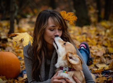 Lambida de animais de estimação pode contribuir para proliferação de superbactérias