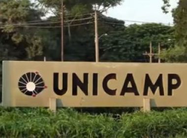Bactéria da Amazônia pode combater câncer de intestino, diz Unicamp