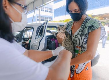 Campanha de vacinação antirrábica em Salvador é prorrogada até dia 30