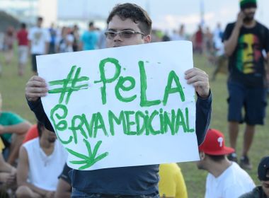 CFM estabelece regras para uso da cannabis no tratamento de doenças na infância